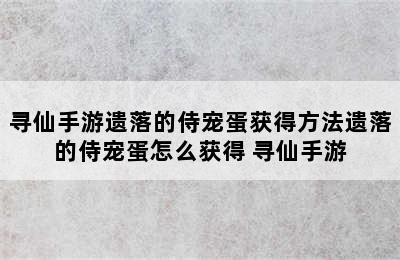 寻仙手游遗落的侍宠蛋获得方法遗落的侍宠蛋怎么获得 寻仙手游